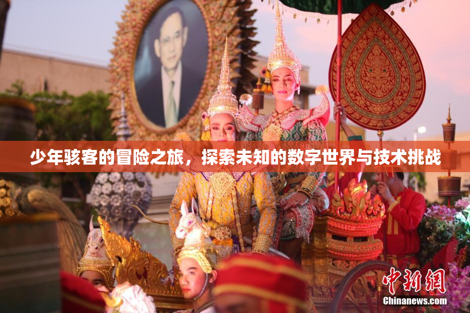 少年骇客的冒险之旅，探索未知的数字世界与技术挑战