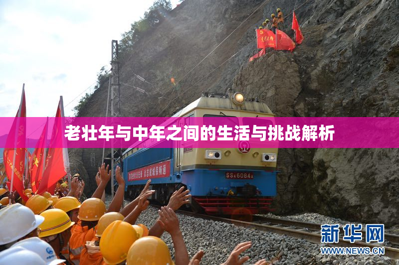 老壮年与中年之间的生活与挑战解析