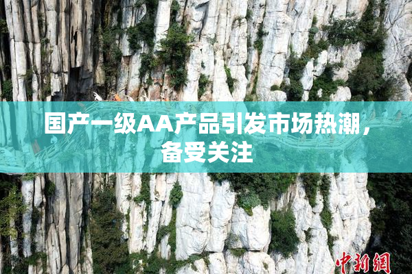 国产一级AA产品引发市场热潮，备受关注