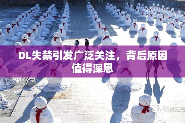 DL失禁引发广泛关注，背后原因值得深思