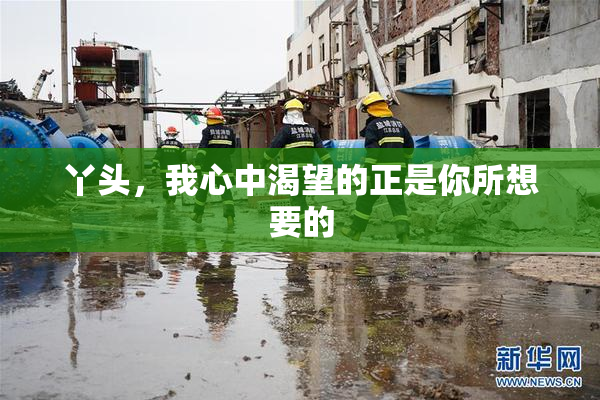 丫头，我心中渴望的正是你所想要的