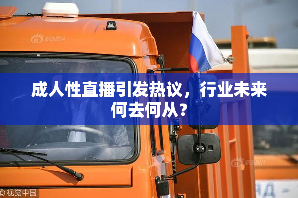 成人性直播引发热议，行业未来何去何从？