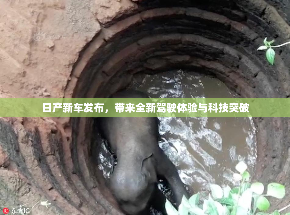 日产新车发布，带来全新驾驶体验与科技突破