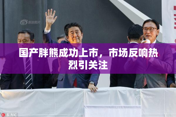国产胖熊成功上市，市场反响热烈引关注