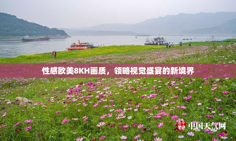 性感欧美8KH画质，领略视觉盛宴的新境界