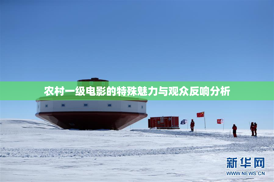 农村一级电影的特殊魅力与观众反响分析