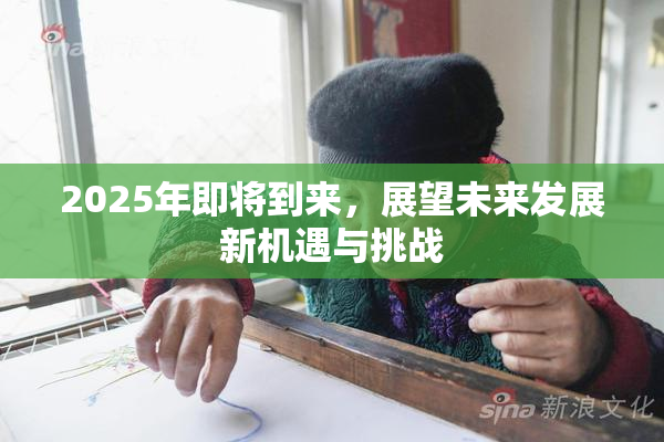 2025年即将到来，展望未来发展新机遇与挑战