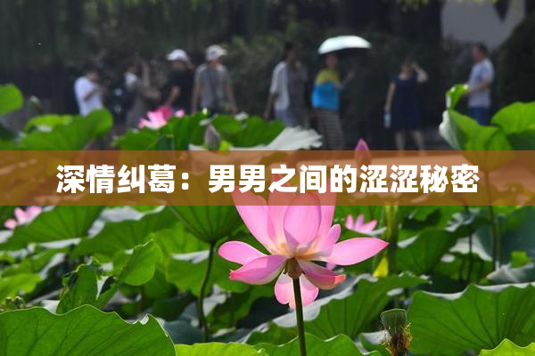深情纠葛：男男之间的涩涩秘密