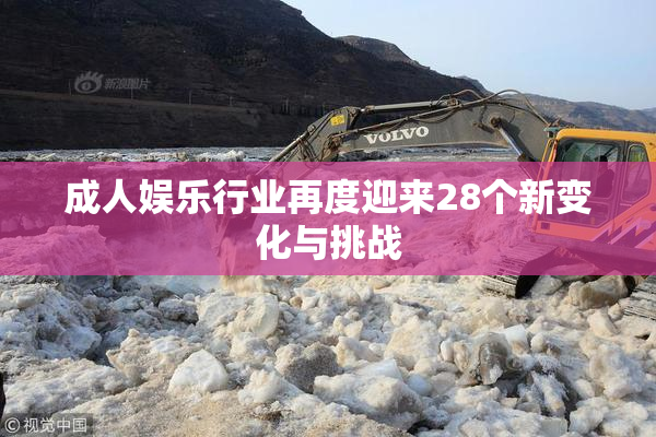 成人娱乐行业再度迎来28个新变化与挑战