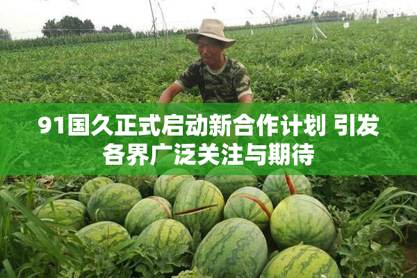 91国久正式启动新合作计划 引发各界广泛关注与期待