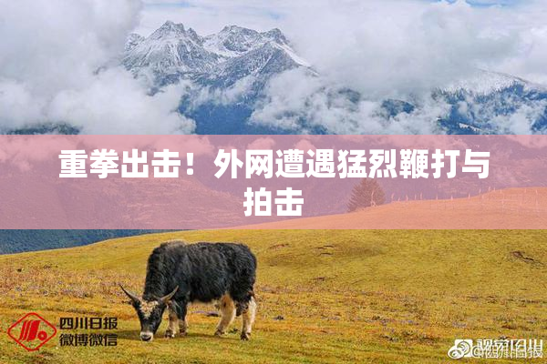 重拳出击！外网遭遇猛烈鞭打与拍击