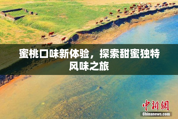 蜜桃口味新体验，探索甜蜜独特风味之旅