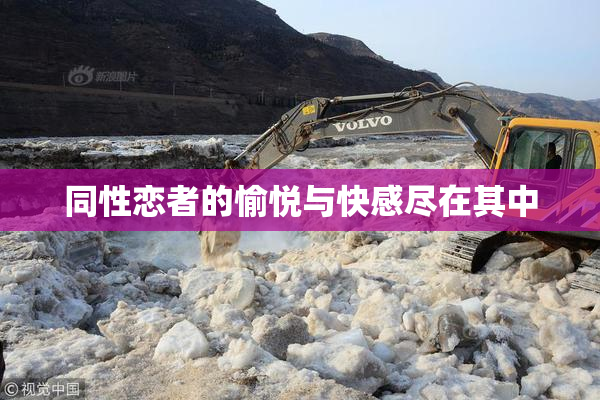 同性恋者的愉悦与快感尽在其中