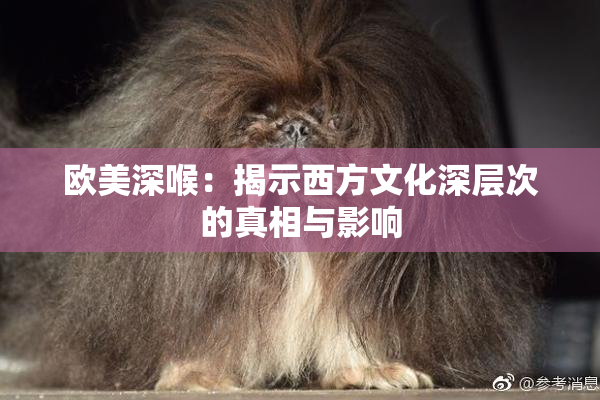 欧美深喉：揭示西方文化深层次的真相与影响