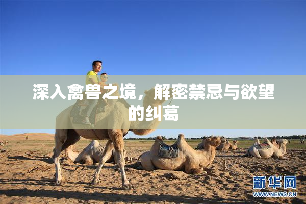深入禽兽之境，解密禁忌与欲望的纠葛