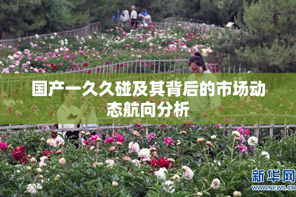 国产一久久碰及其背后的市场动态航向分析