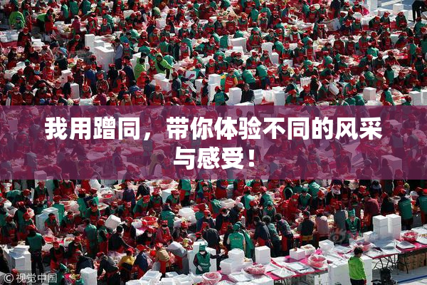 我用蹭同，带你体验不同的风采与感受！