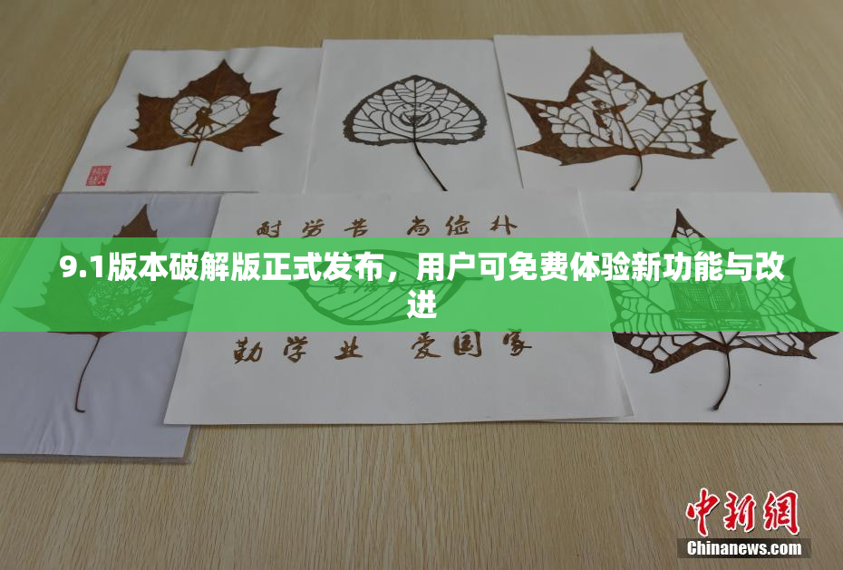9.1版本破解版正式发布，用户可免费体验新功能与改进