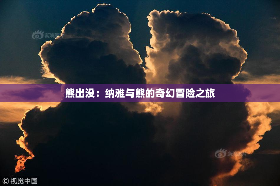 熊出没：纳雅与熊的奇幻冒险之旅