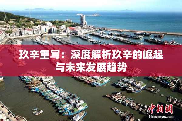 玖辛重写：深度解析玖辛的崛起与未来发展趋势