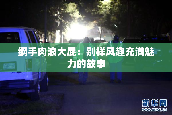 纲手肉浪大屁：别样风趣充满魅力的故事