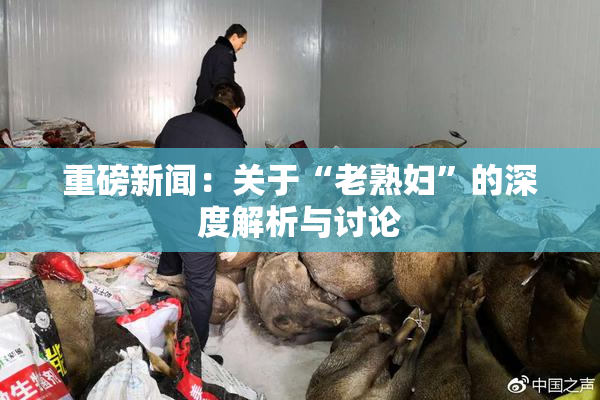 重磅新闻：关于“老熟妇”的深度解析与讨论
