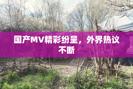 国产MV精彩纷呈，外界热议不断