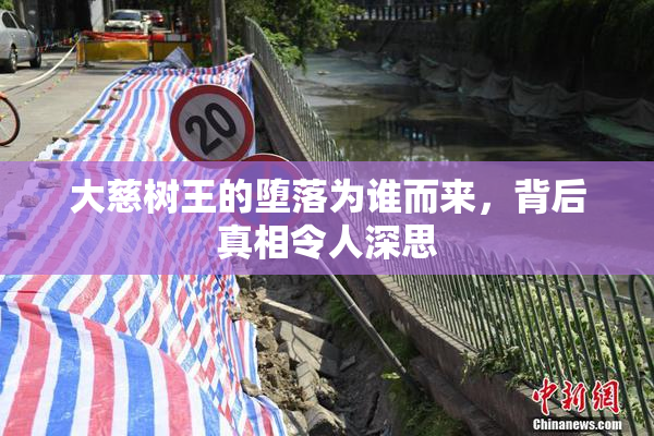 大慈树王的堕落为谁而来，背后真相令人深思