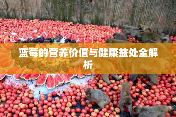 蓝莓的营养价值与健康益处全解析