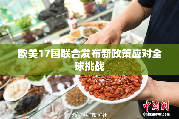 欧美17国联合发布新政策应对全球挑战