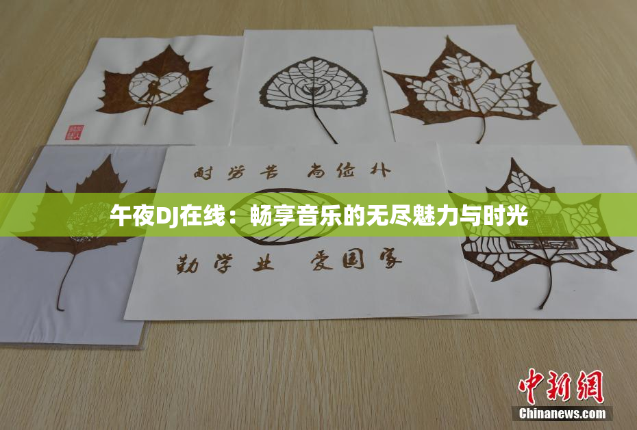 午夜DJ在线：畅享音乐的无尽魅力与时光