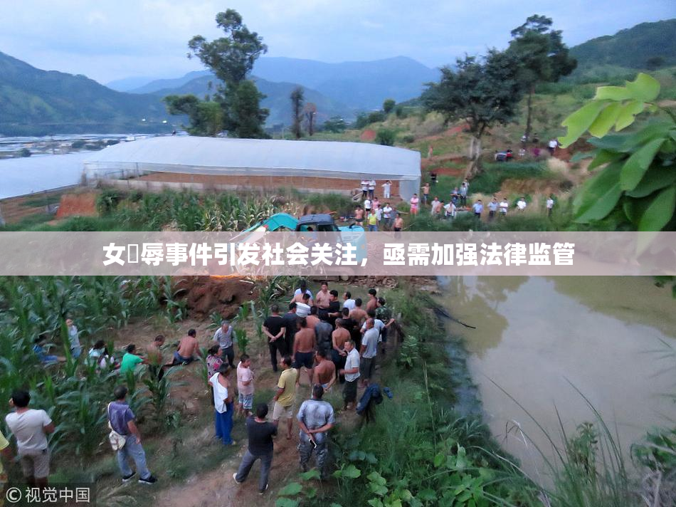 女婬辱事件引发社会关注，亟需加强法律监管