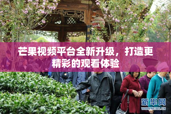 芒果视频平台全新升级，打造更精彩的观看体验