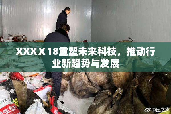 XXXⅩ18重塑未来科技，推动行业新趋势与发展