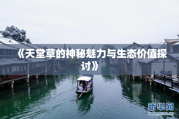 《天堂草的神秘魅力与生态价值探讨》