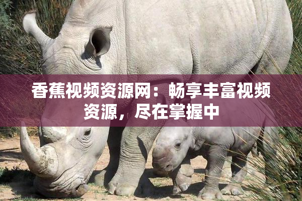 香蕉视频资源网：畅享丰富视频资源，尽在掌握中
