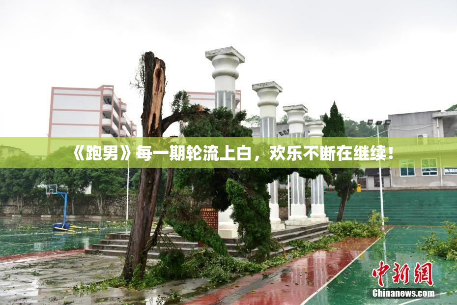 《跑男》每一期轮流上白，欢乐不断在继续！