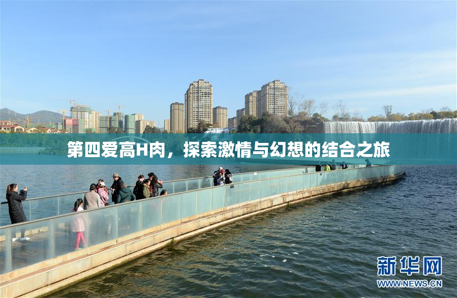 第四爱高H肉，探索激情与幻想的结合之旅