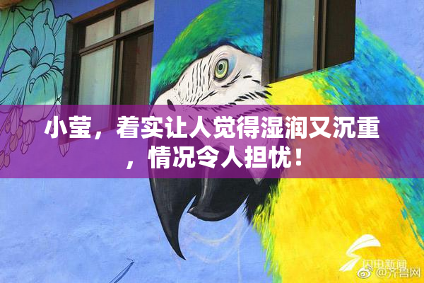 小莹，着实让人觉得湿润又沉重，情况令人担忧！