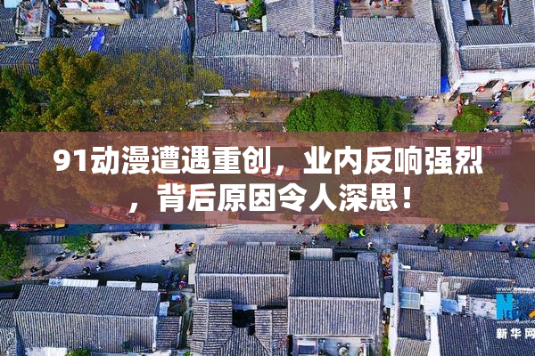 91动漫遭遇重创，业内反响强烈，背后原因令人深思！