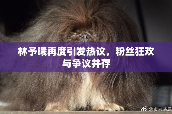林予曦再度引发热议，粉丝狂欢与争议并存