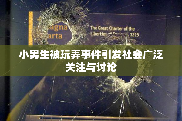 小男生被玩弄事件引发社会广泛关注与讨论
