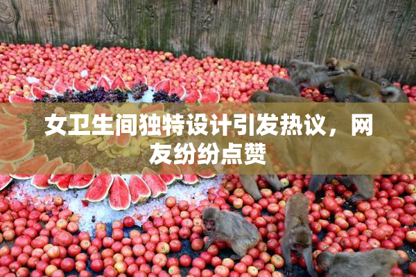 女卫生间独特设计引发热议，网友纷纷点赞