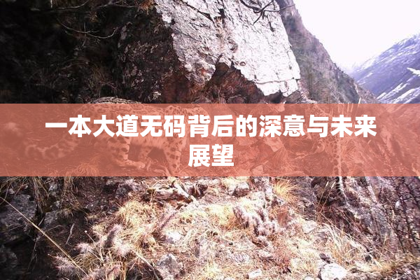 一本大道无码背后的深意与未来展望