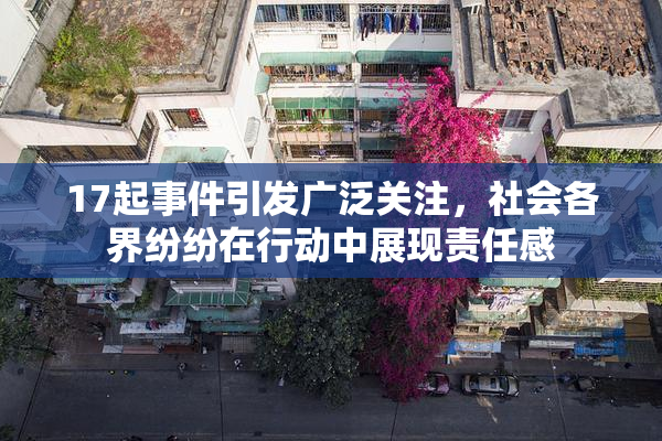 17起事件引发广泛关注，社会各界纷纷在行动中展现责任感