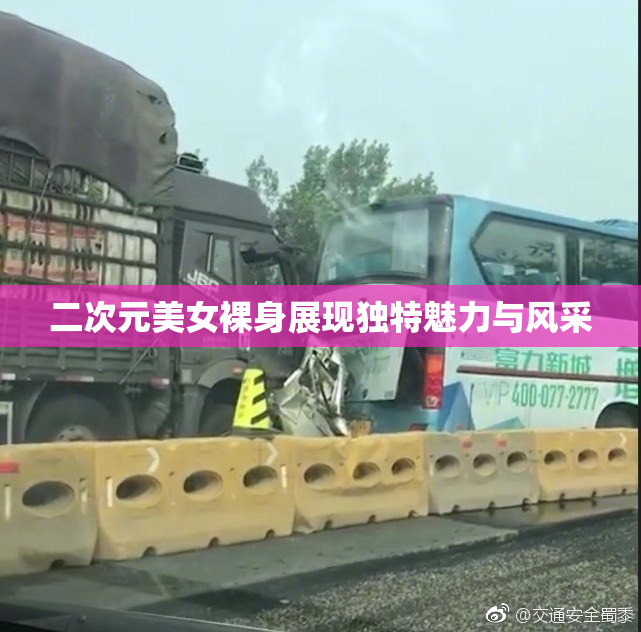 二次元美女裸身展现独特魅力与风采