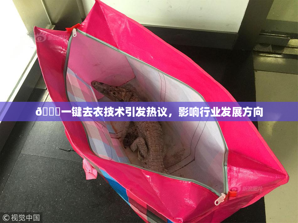 🔞一键去衣技术引发热议，影响行业发展方向