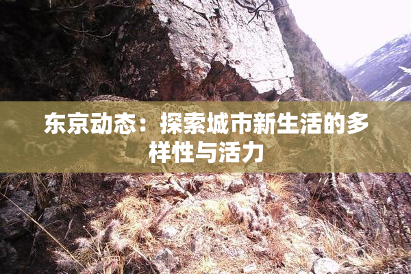 东京动态：探索城市新生活的多样性与活力
