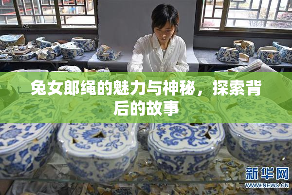 兔女郎绳的魅力与神秘，探索背后的故事