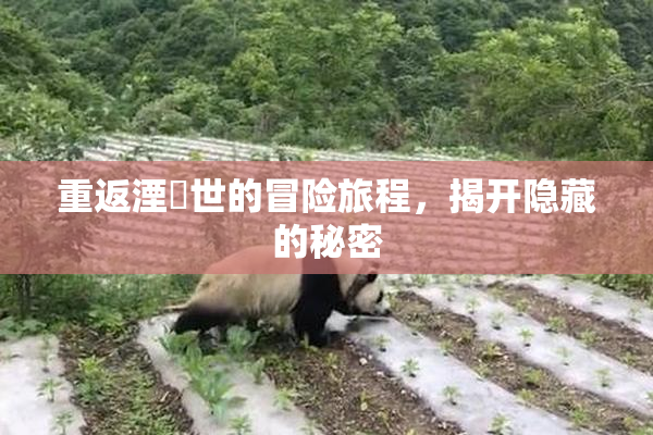 重返湮婸世的冒险旅程，揭开隐藏的秘密